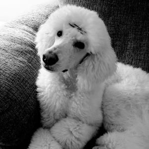 Meet your Posher, Kaylyn